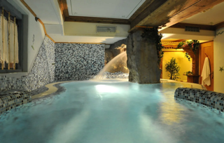Wellness Wellness